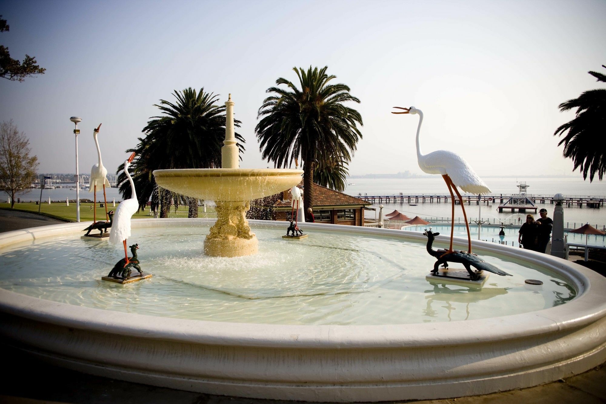 Rydges Geelong Hotel Eksteriør billede